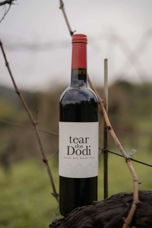 Tear dos Dodi: Tinto - Imagen 3