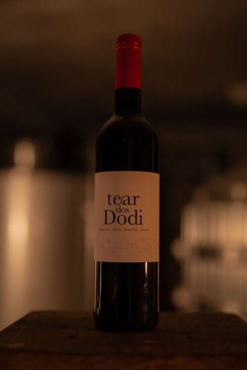 Tear dos Dodi: Tinto - Imagen 4